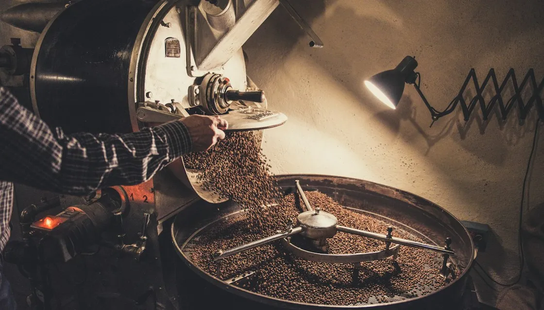 Freshly roasted coffee beans pouring into the cooling tray of a roaster