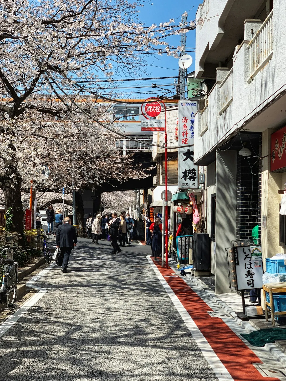 中目黒の高架近くにある、小さな店や飲食店が並ぶ通り。頭上には桜