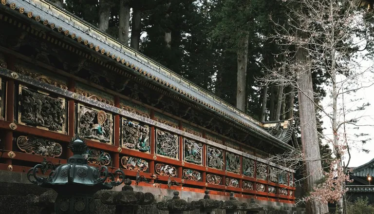杉木立の中に建つ、彫刻と漆で飾られた日光の社殿の壁