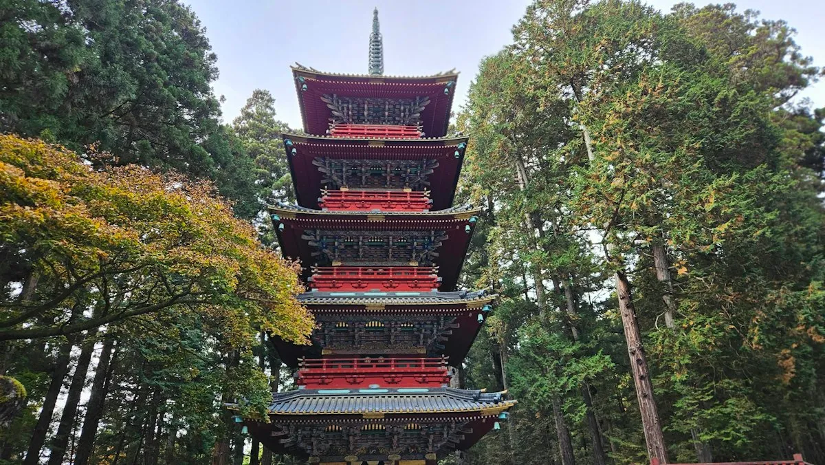 A red five-storey pagoda among tall cedars and autumn trees in Nikko