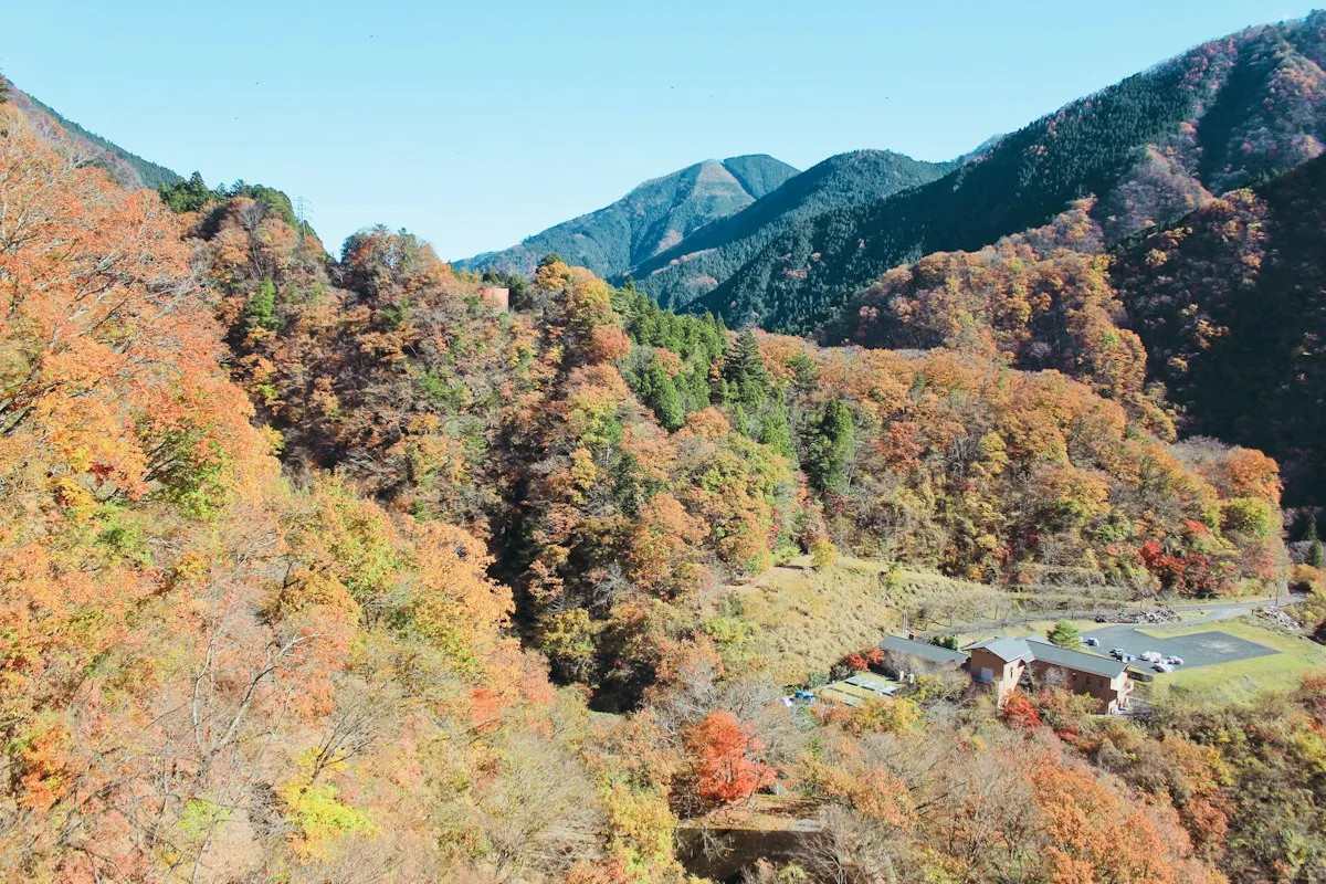 Hillsides in Okutama covered in autumn color under a clear sky