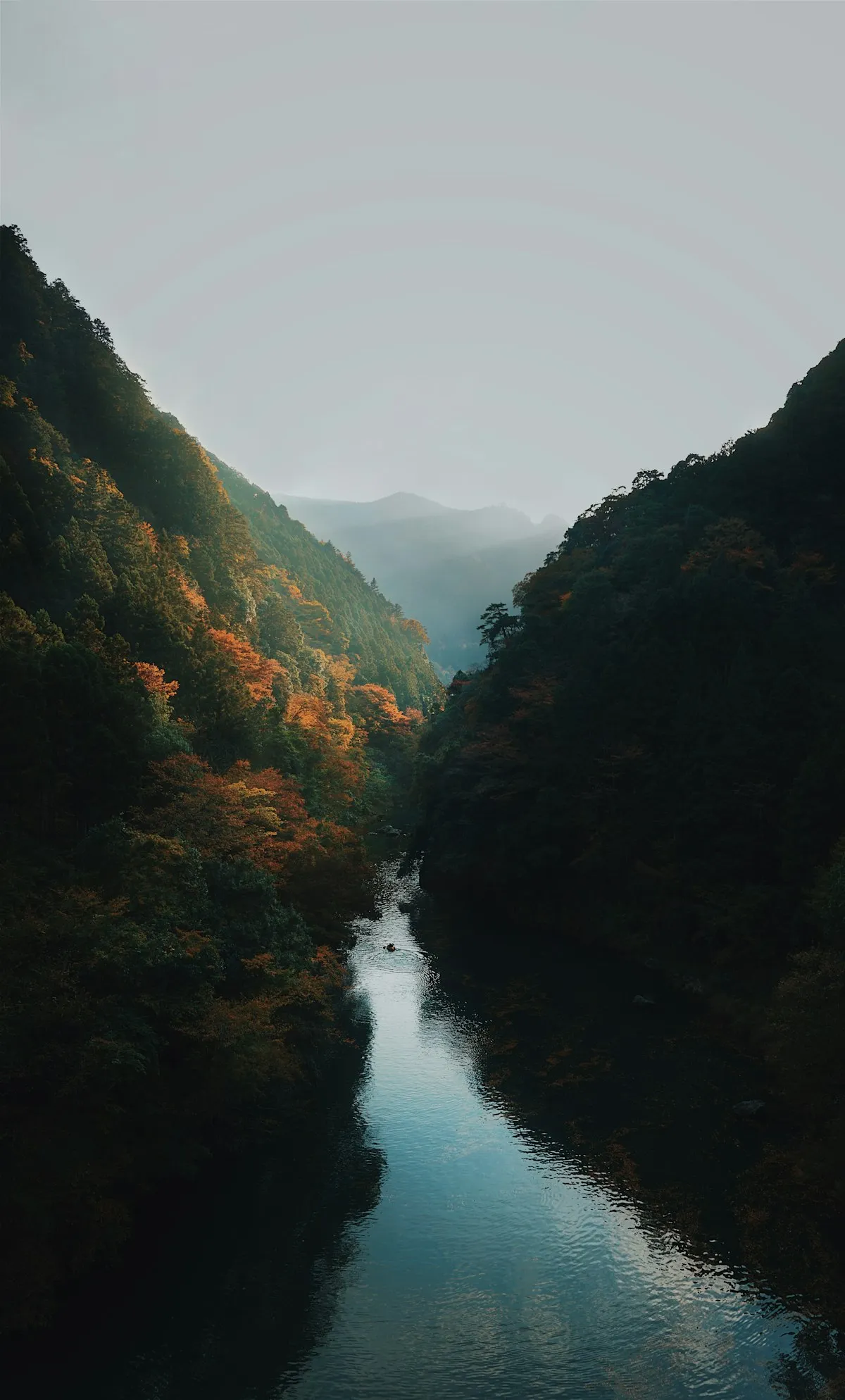 A river winding through a steep, misty valley in Okutama, with autumn color on the slopes