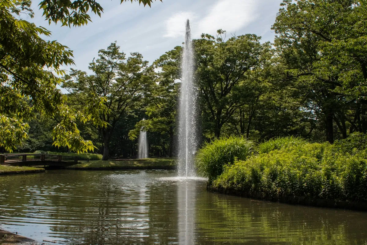代々木公園の池の噴水と、それを囲む緑の木々
