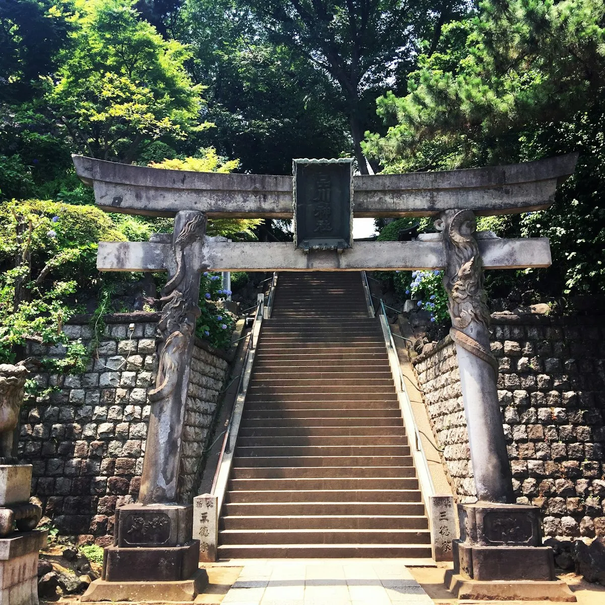 品川神社の石段の下に立つ、龍が彫られた石の鳥居