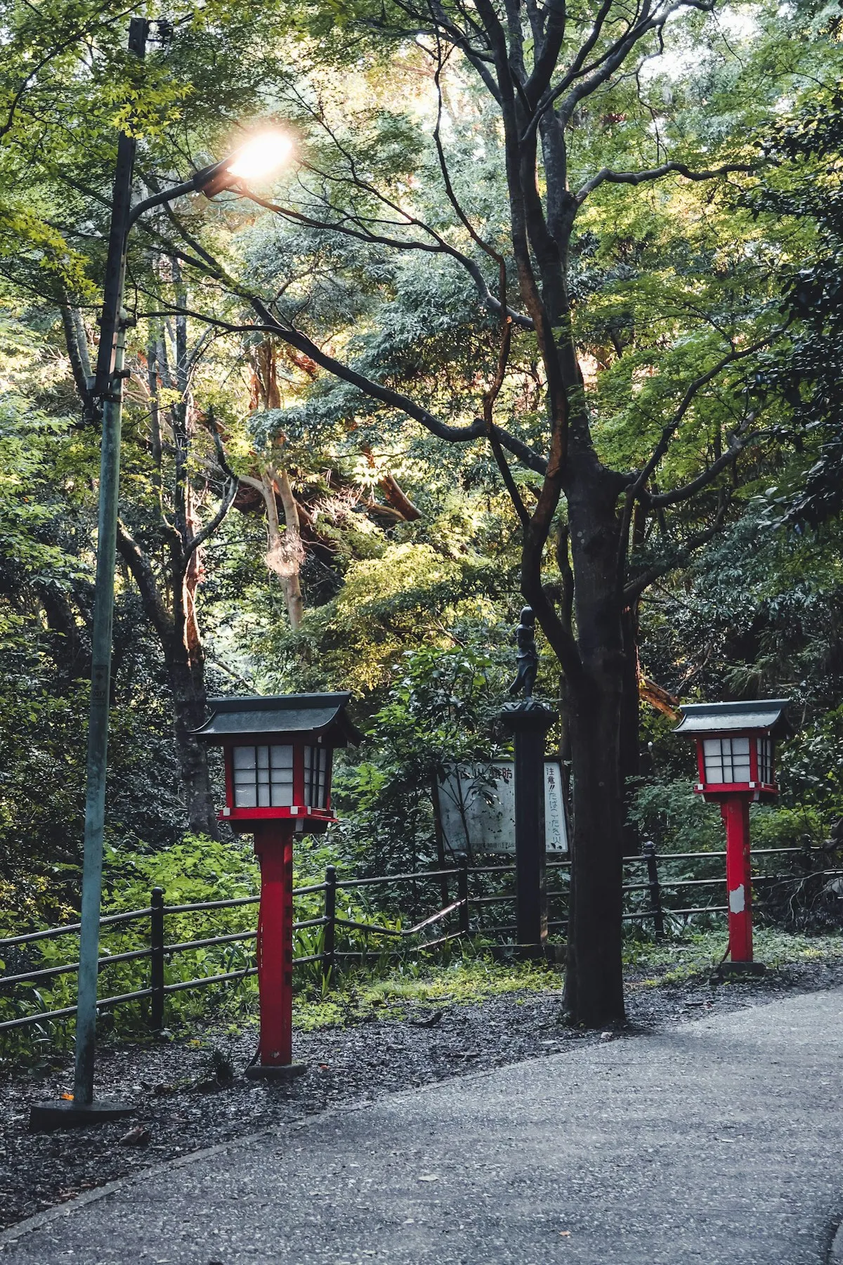 A paved trail on Mount Takao lined with red lanterns under green trees