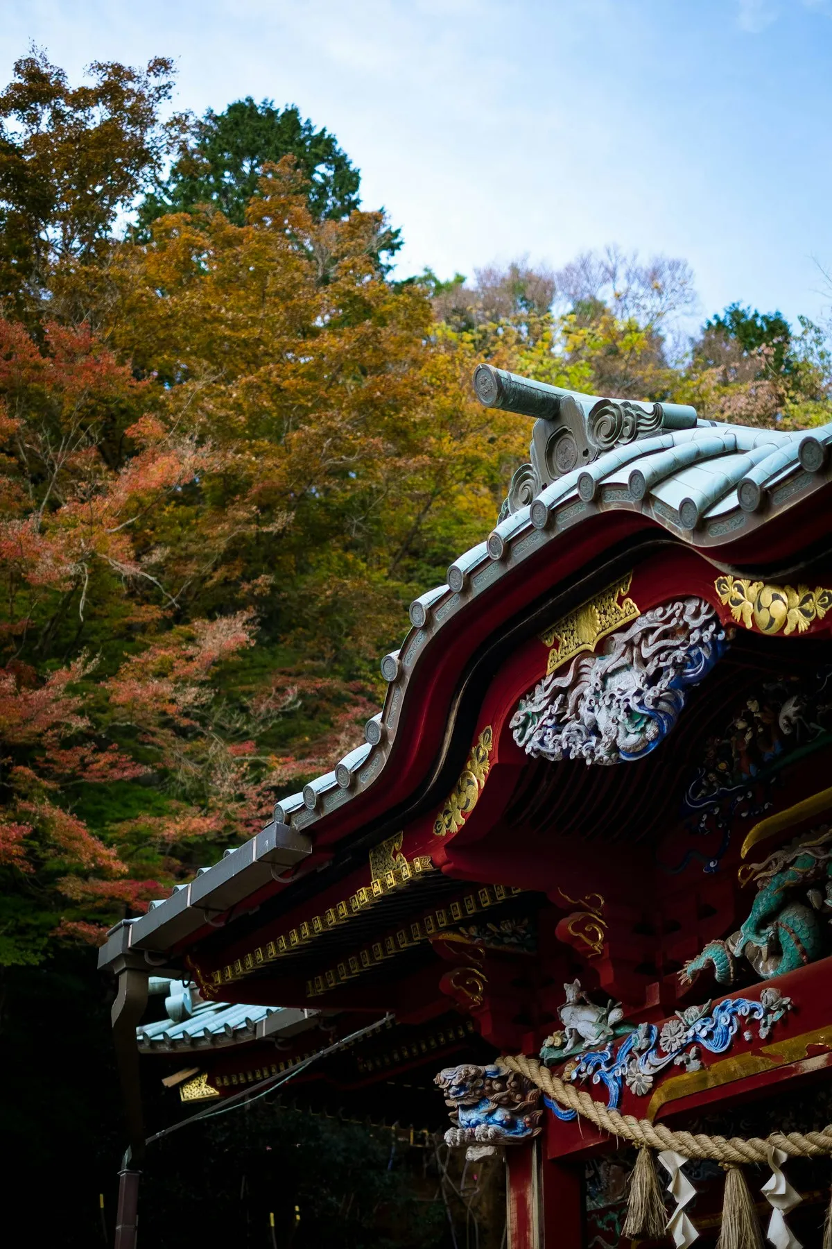 The carved, painted eaves of a hall at Yakuo-in on Mount Takao, with autumn trees behind
