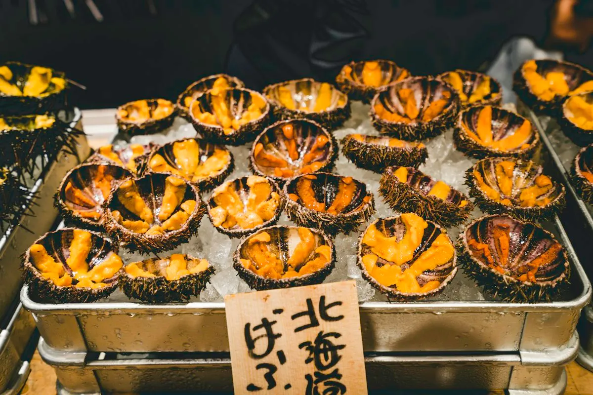 築地の店先で氷の上に並ぶ、殻つきの生うに