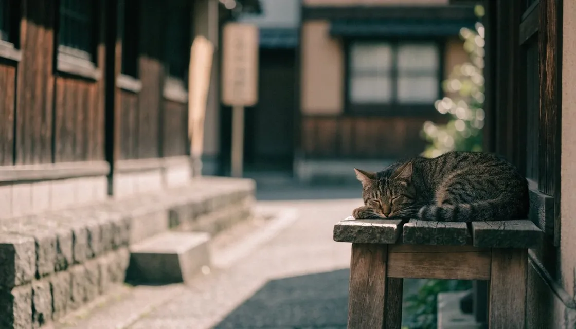 A tabby cat resting on an old wooden bench in a quiet Yanaka lane with traditional low houses