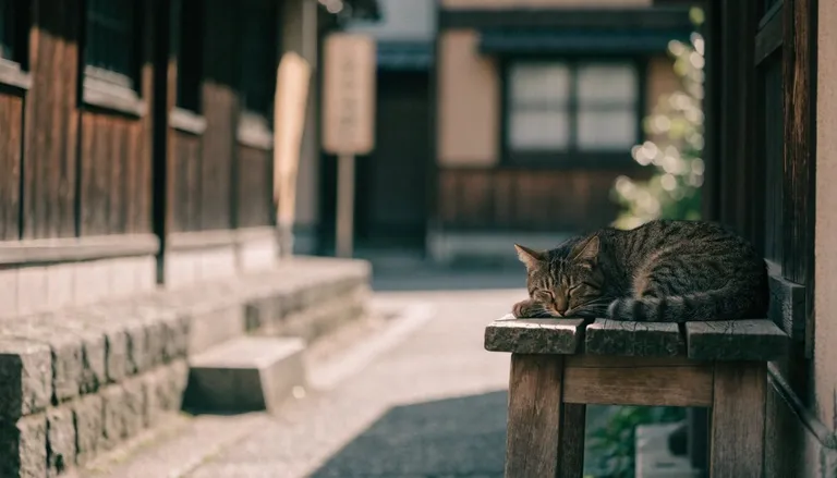 A tabby cat resting on an old wooden bench in a quiet Yanaka lane with traditional low houses